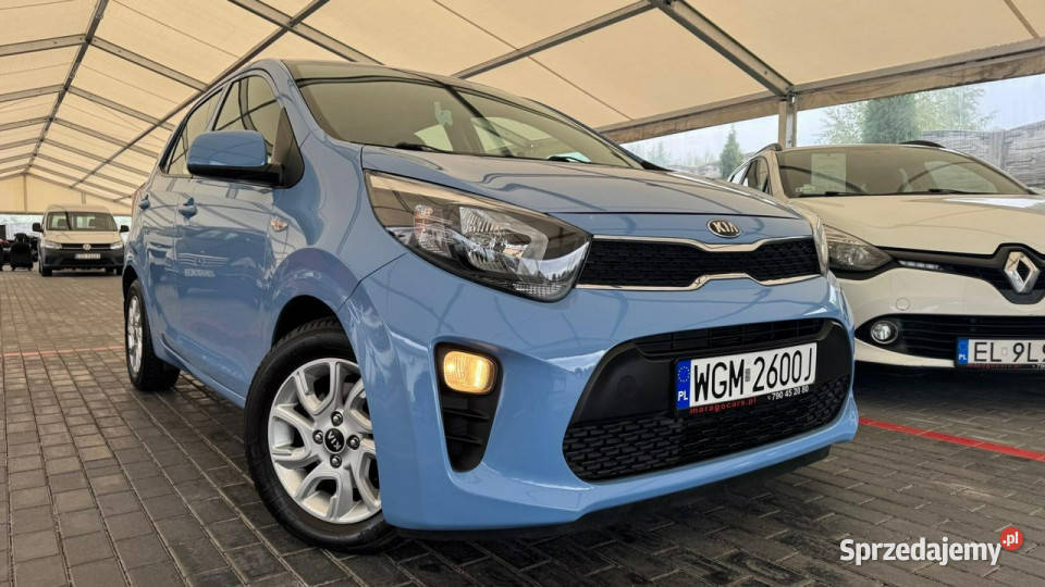 Kia Picanto Kia Picanto Automat III 2017 Zduńska Wola