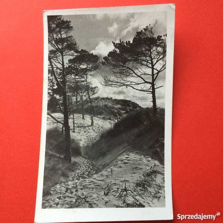 975 Widokówka Ustka Szczecin sprzedam