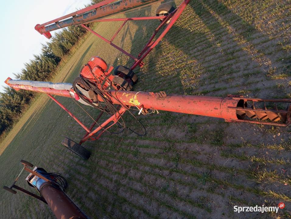 Żmijka do zboża Taśmociągi i podajniki Buk