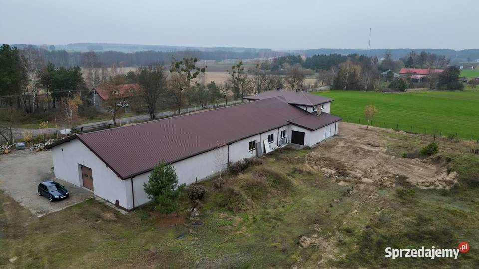 Hala do wynajajęcia Lokale użytkowe
