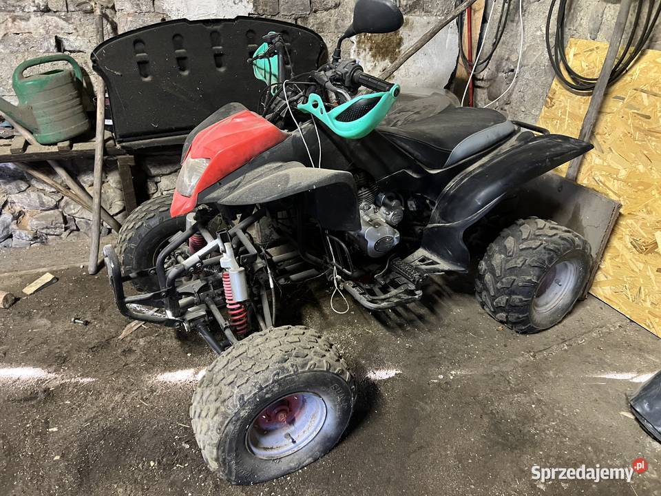 Quad Bashan Stanów