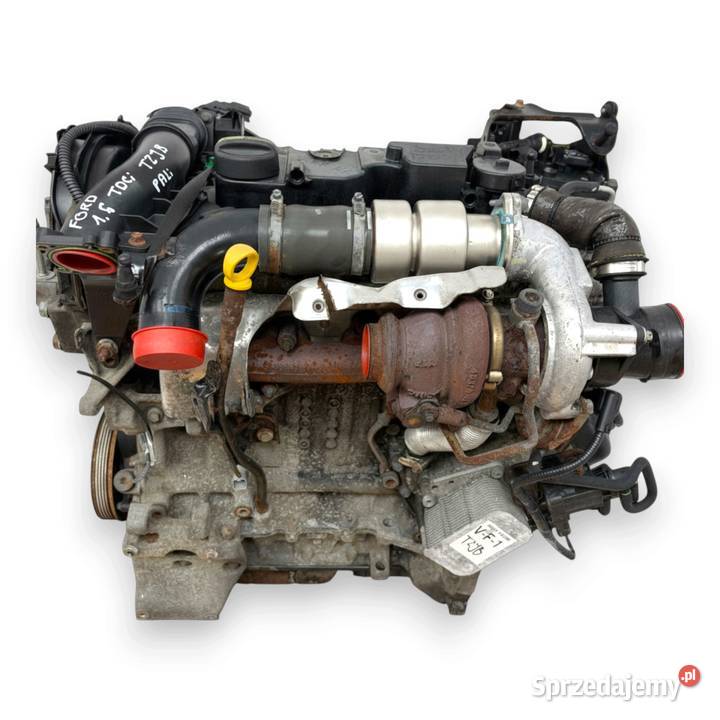 SILNIK TZJB Ford Fiesta VI VII MK7 16 TDCI 95 osobowe Chełm