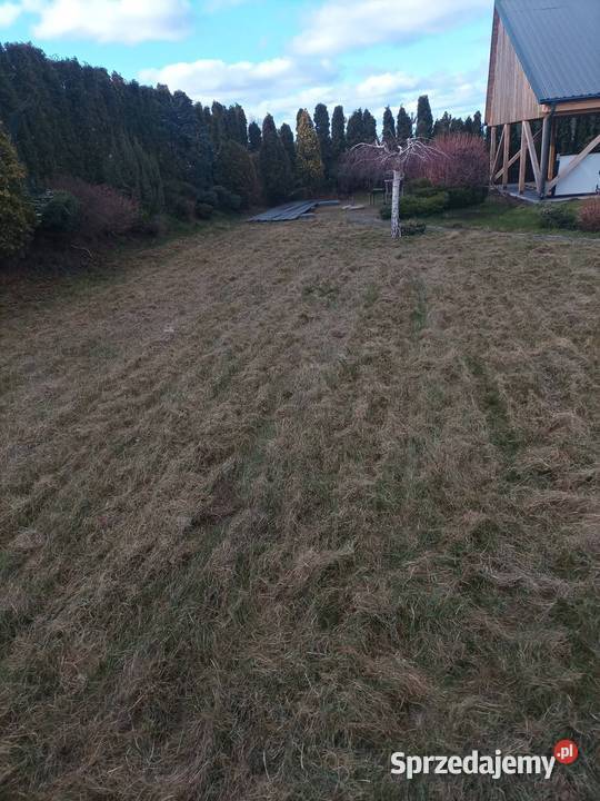 Wertykulacja trawników Lębork