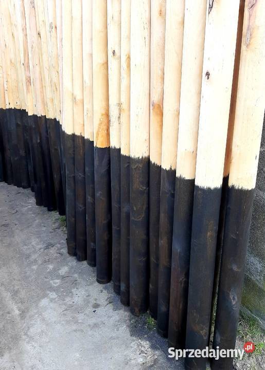 Paliki słupki wałki drewniane palisada pachołek Leszno