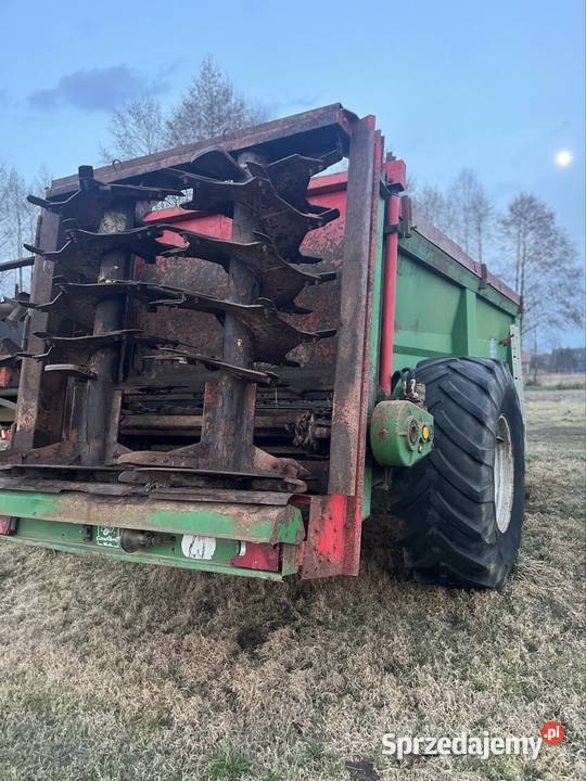 Rozrzutniki mazowieckie Zbuczyn sprzedam