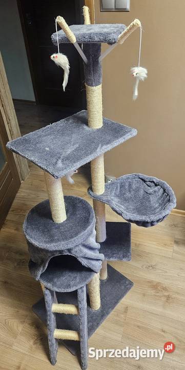 Drapak kota Bydgoszcz sprzedam