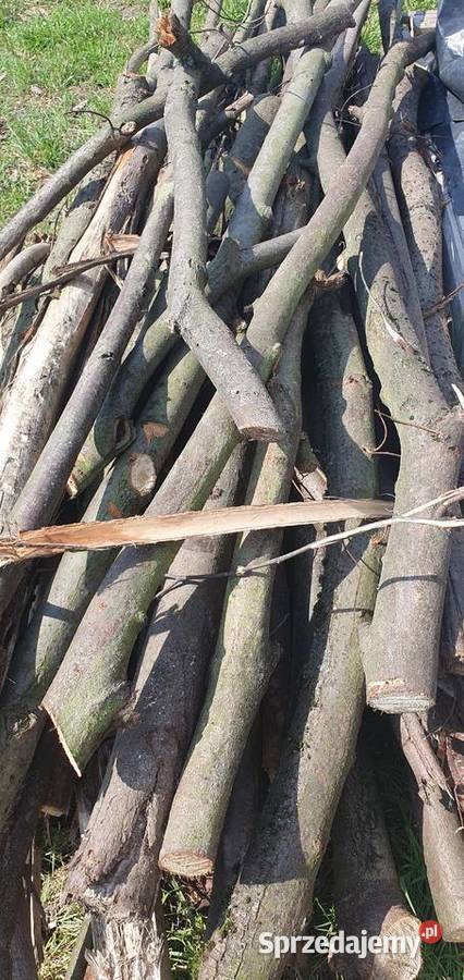 Drewno opałowekominkowe Gałęziówka i grube Bydgoszcz
