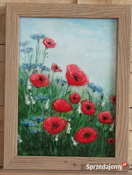 Łąka i maki lubelskie