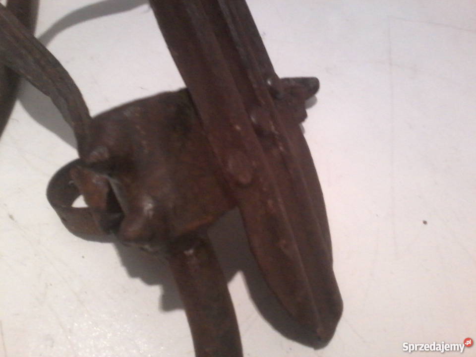 Stare słupołazy drzewołazy