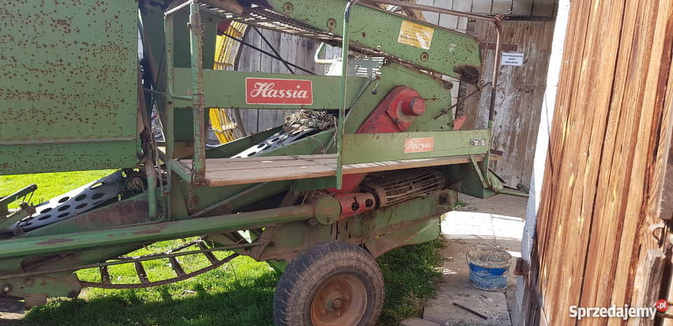 Kombajn Ziemniaczany Hassia 100 Sprawny