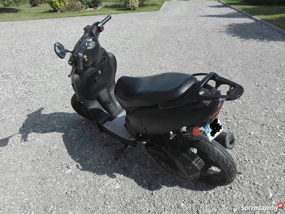 Kingway Koyot czarny lubelskie Zakrzówek