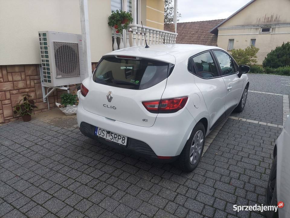 Renault Clio 2004 Blizne
