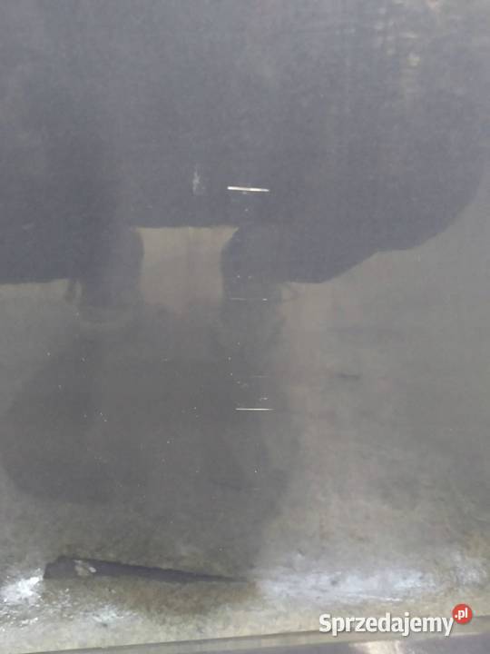 DRZWI LEWE PRZÓD EB Ford Focus Mk3 20102019 Rok produkcji 2013