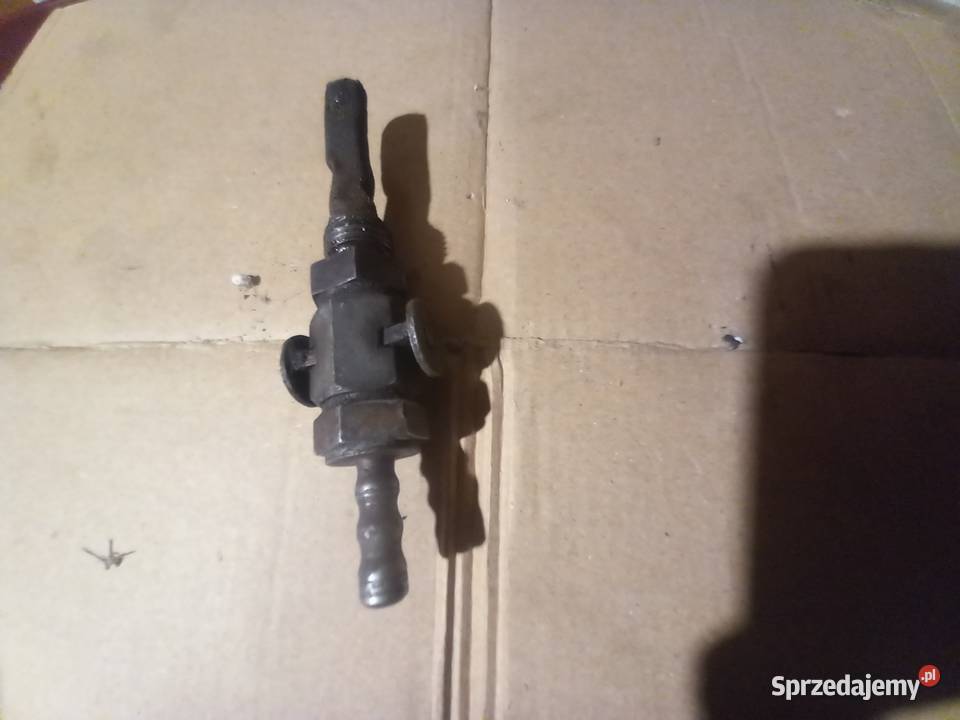 Kranik zak ryś komar sztywniak