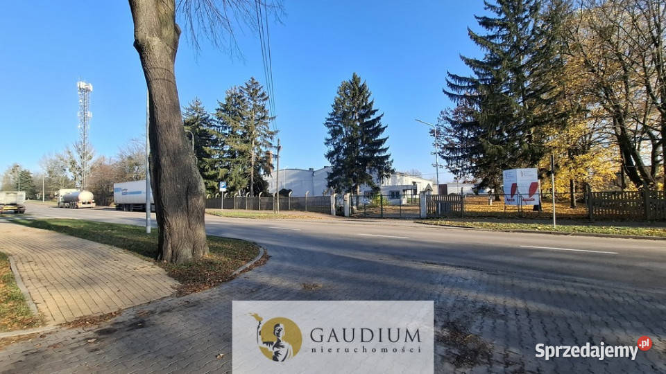 wynajmu lokalu 12m Tczew