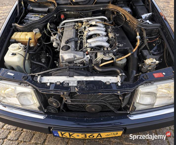 W124 300 D wąska listwa Niedźwiedź