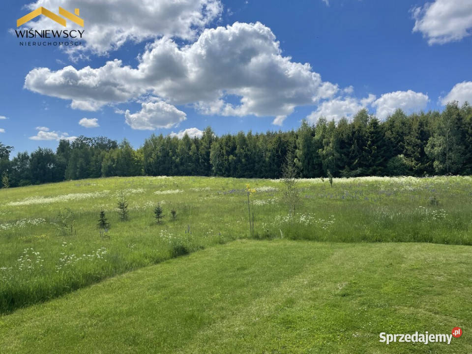 Działka 1028 m z WZ wśród natury Rogowo