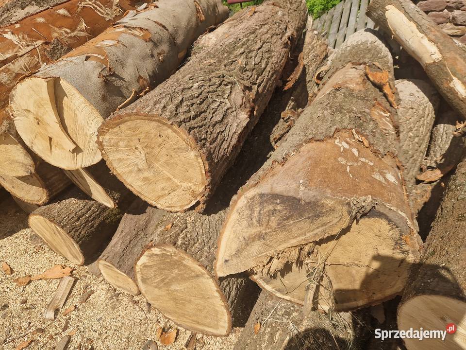 Sprzedam Drewno OpałoweKominkowe 570 x 894 x 900 dolnośląskie Nowa Ruda