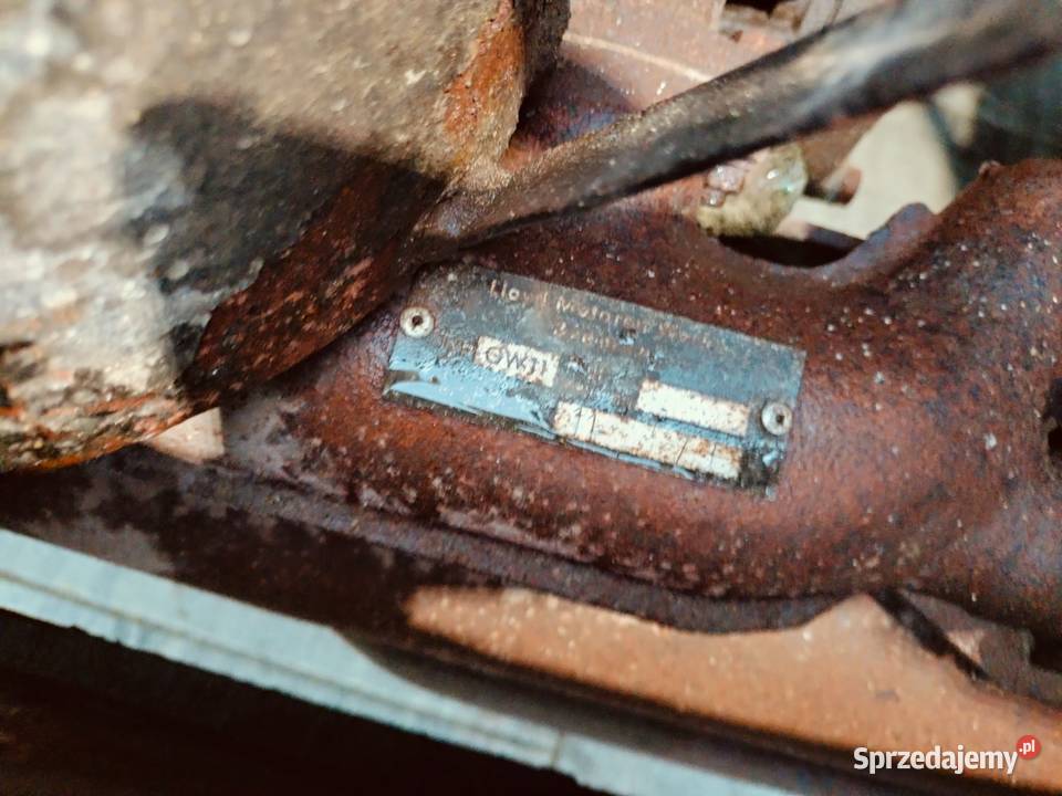 Fiat 126 Steinwinter 250 1973 GOGO figo okazja Rok produkcji 1973 wielkopolskie Kostrzyn sprzedam