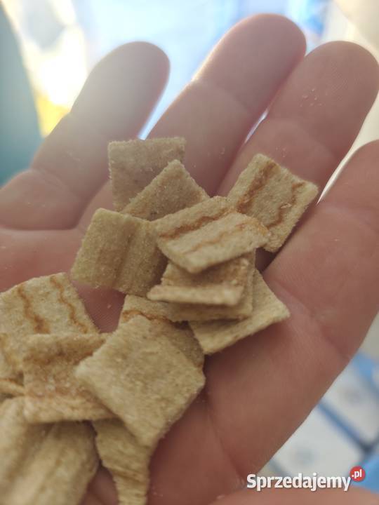 makaron paszowy karma psa drobiu Cieszanów