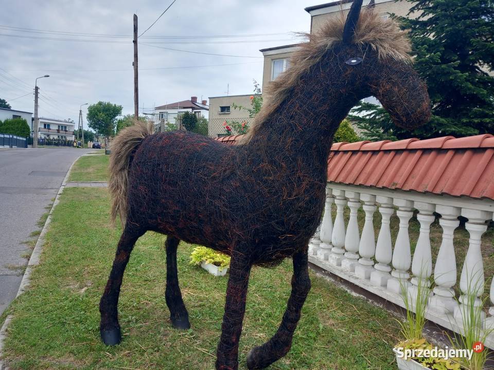 Konie na dożynki Racibórz