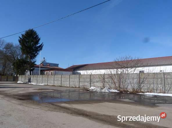 Syndyk sprzeda udział 38 w prawie własności Pielgrzymowo