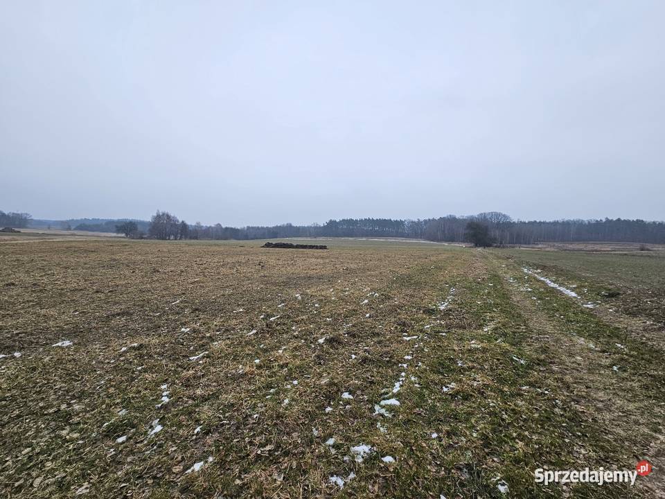Działki budowlane i rolne Dolina Baryczy Łazy Wielkie