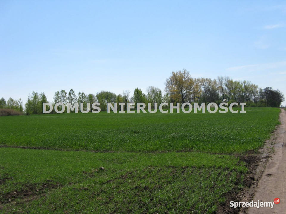 Działka 43352m2 Kutno 20zł/m2 łódzkie