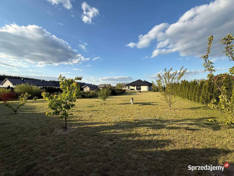 Dom jednorodzinny ze stawem na dużej działce wielkopolskie Skoki sprzedam