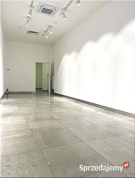 Wynajem lokal użytkowy Opole centrum 69 m2 sprzedam