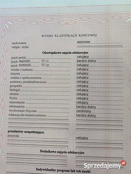 Korepetycje fizyka chemia Z DOJAZDEM Poznań