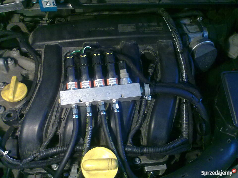 Sprzedam samochód Renault Modus 14 98 BenzynaLPG benzyna+LPG Rzeszów