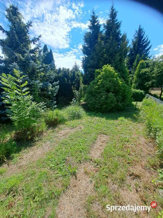 Sprzedam działkę ROD w Poznaniu 600m2 Grunty i działki Poznań sprzedam