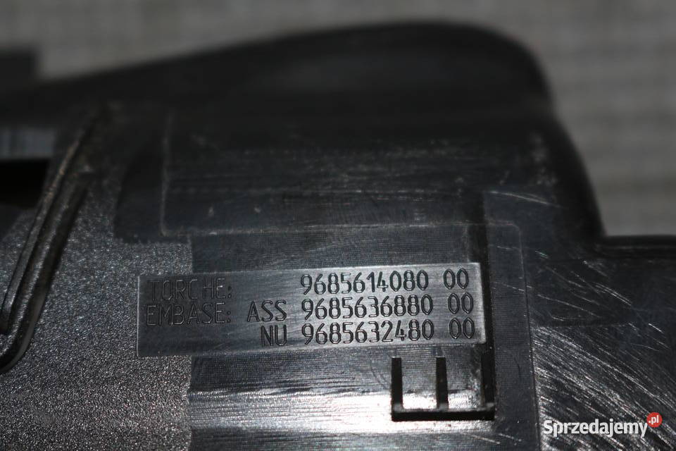 CITROEN C5 III X7 ŁADOWARKA LATARKI 89038571B Prochowice