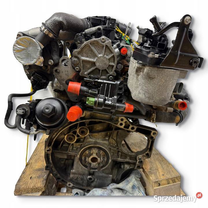 SILNIK UGJC Ford Fiesta VII MK7 B B 15 TDCI 75 lubelskie Chełm
