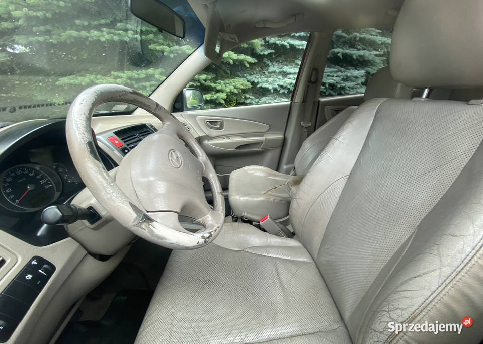 Hyundai Tucson 2005r Na części 20 CRDi wielkopolskie Strzałkowo