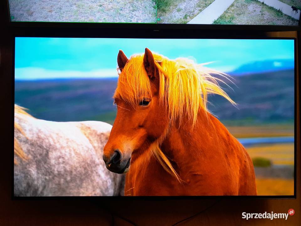 TV LG OLED 48 120Hz 4K UHD hdr Smart WIFI DVBT2 mazowieckie Karczew