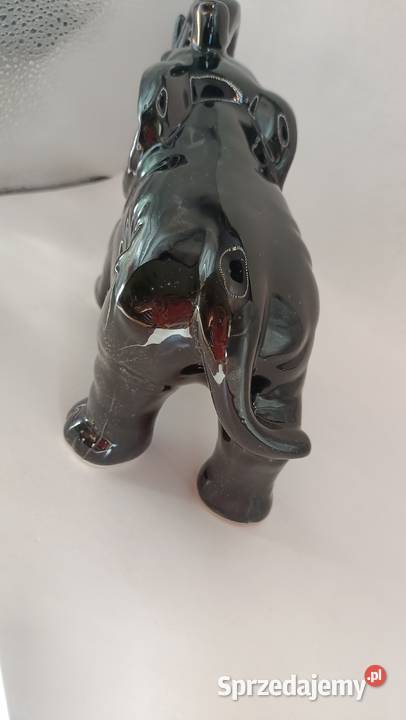 Duży czarny słoń z trąbą do góry i krocząca Zamość