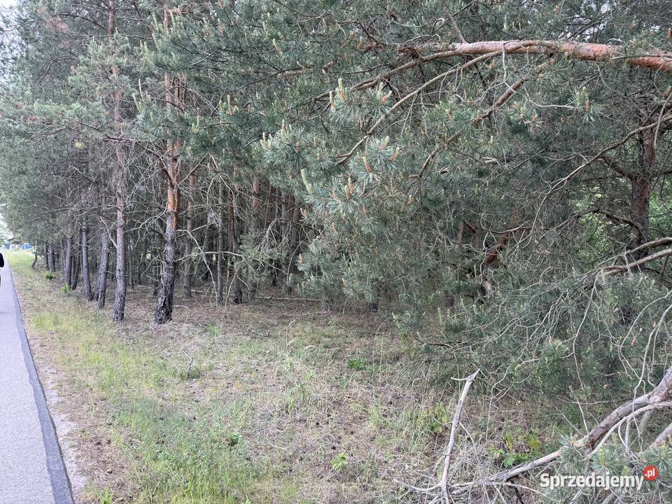 DZIAŁKA BUDOWLANA 135 ha Cygany gmina Nowa Dęba