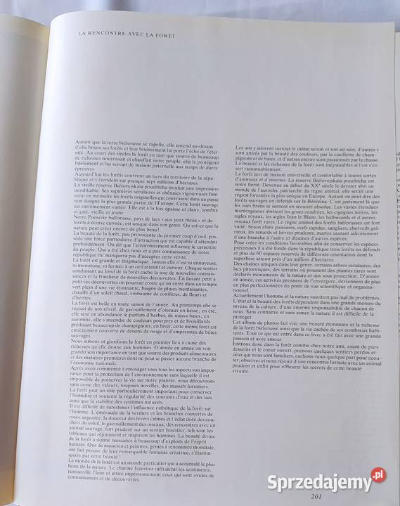 Spotkanie z lasem C podlaskie Hajnówka