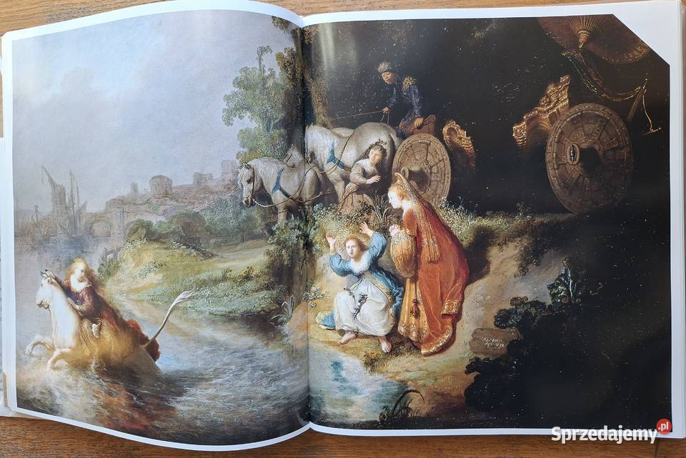 Rembrandt DM Field Arkady małopolskie Kraków