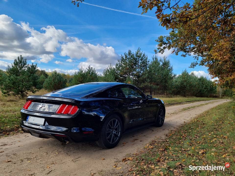 Ford Mustang V6 305 Drawsko Pomorskie