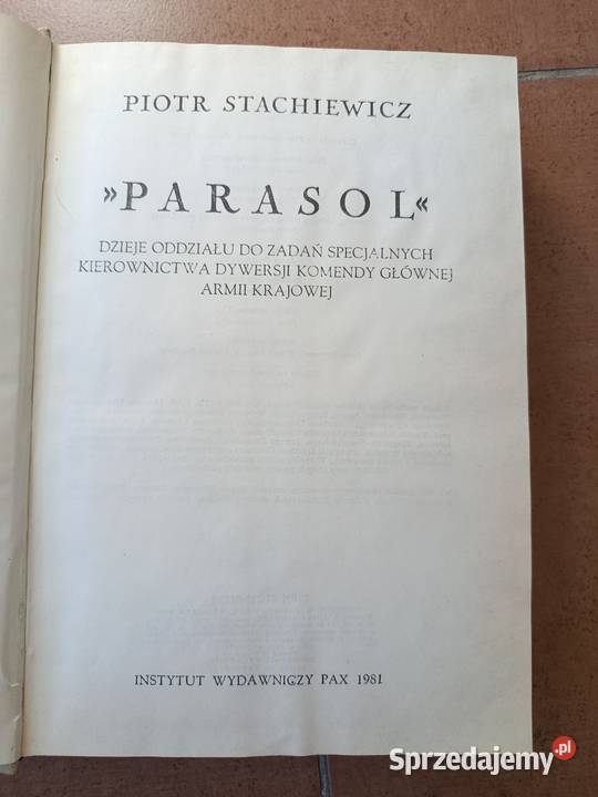 Parasol Stachiewicza Horyniec-Zdrój
