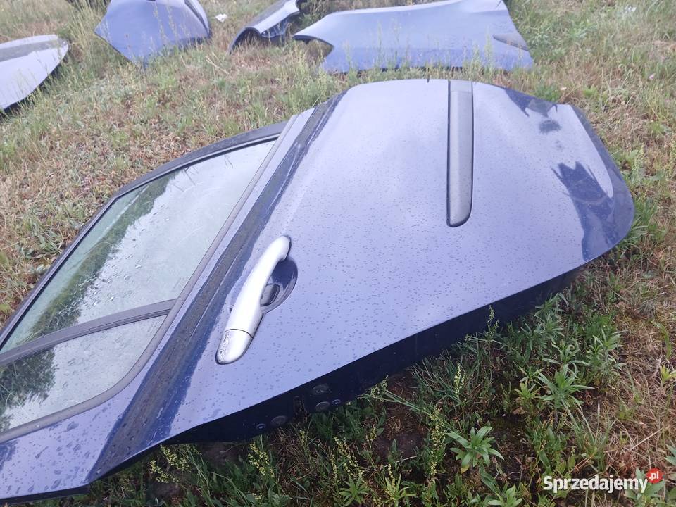 Drzwi Prawy tył tylne KPL Renault Clio III HB 5D małopolskie Radłów sprzedam
