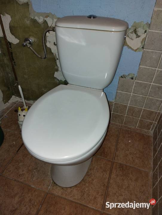 Miska WC Koło ze spłuczką i deską Miski WC mazowieckie Trzcianka