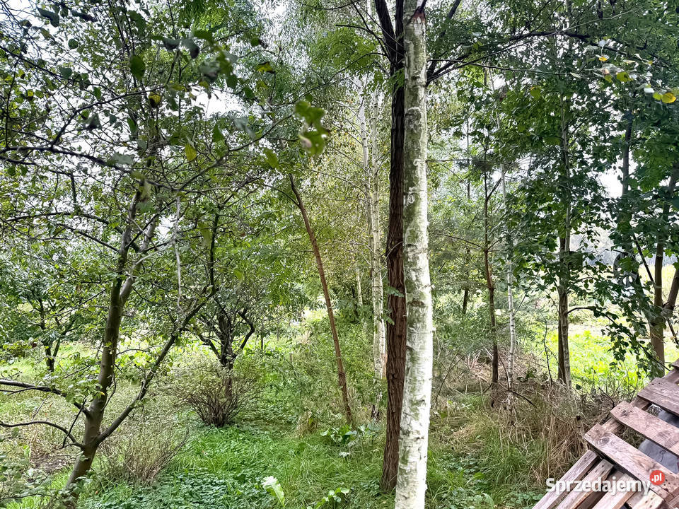 Sprzedam mały dom kawalerka 39m2 Zagórów działka sprzedam