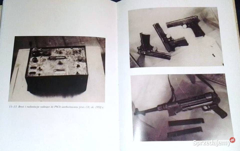 Zwyczajny bohater Życie i działalność Henryka Chełm