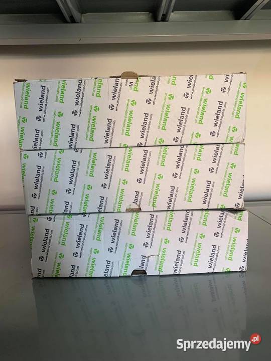 Złączka oświetleniowa Gniazdo 9293130531 Wieland Warszawa