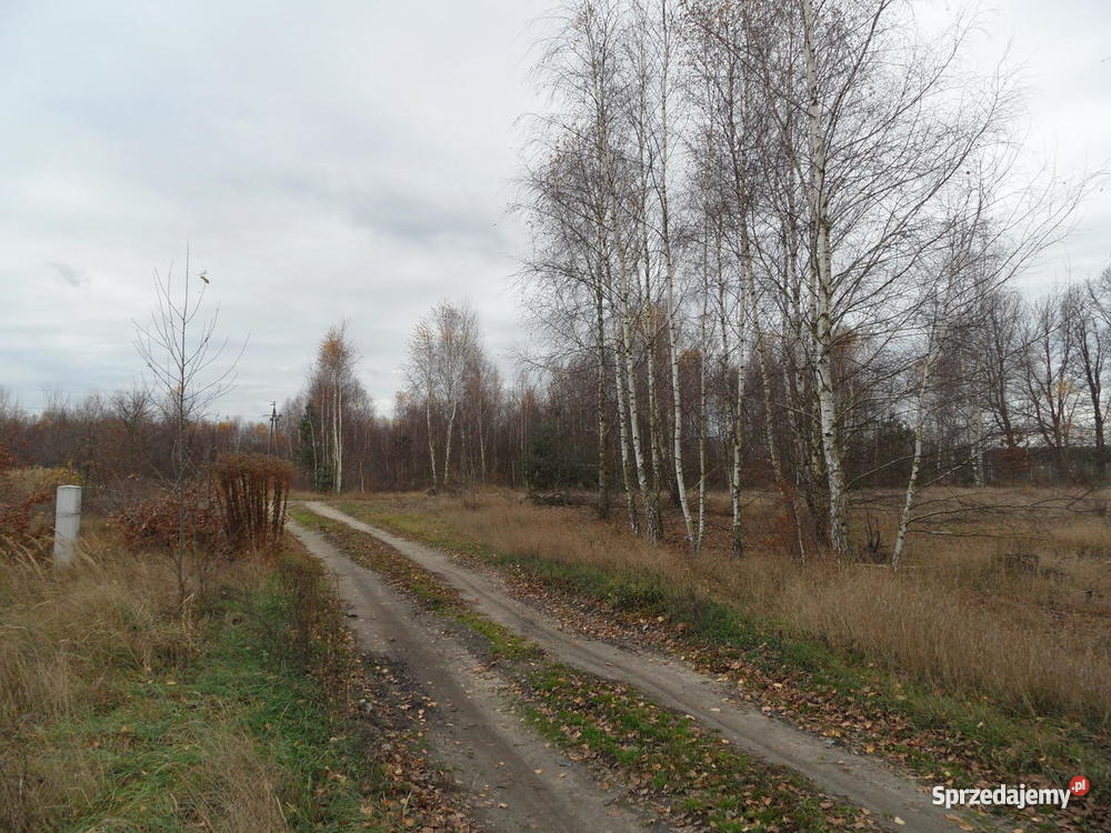 Działka budowlana Skierniewice Feliksów Skierniewice