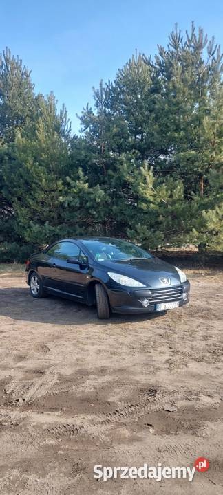 Peugeot 307cc Łańcut